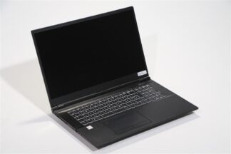 Schenker Key17 - hochperformanter Grafiklaptop (1TB RAID)